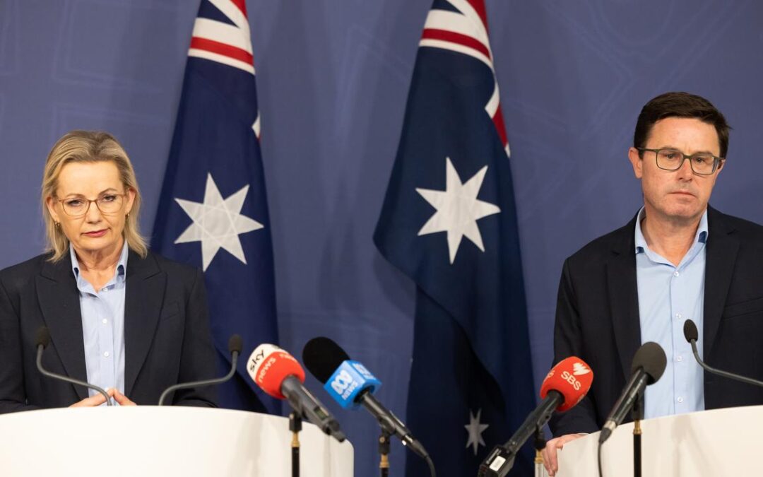 Reunion on ice as Nationals leadership spill looms