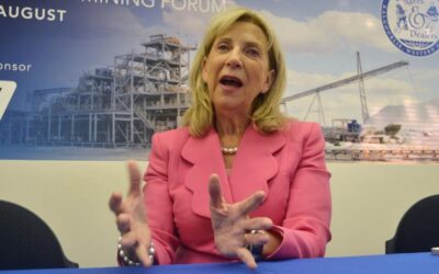 Groundbreaking CEO calls time at rare earth miner Lynas