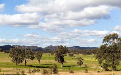 Cultural heritage threats. No silver lining yet for Bowdens mine