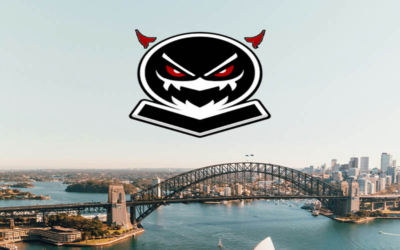 Palantir image: Camillia Bradley