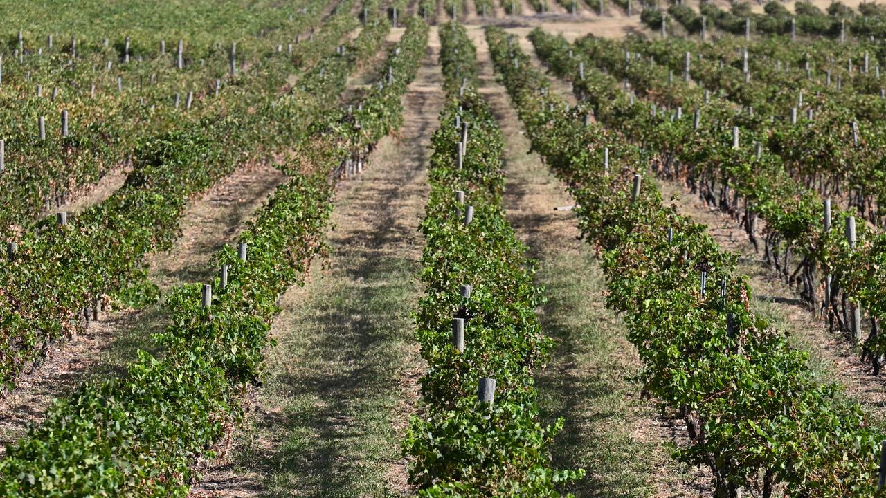 ‘Geopolitical surprises’ lurk for farmers in 2026