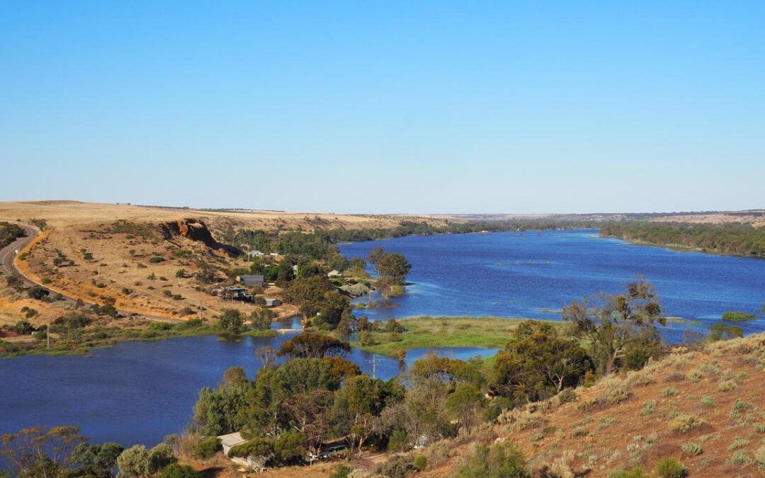 Parts of Murray River listed as critically endangered