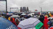 Sydney Harbour Bridge March for Humanity. Image: Paul Catts