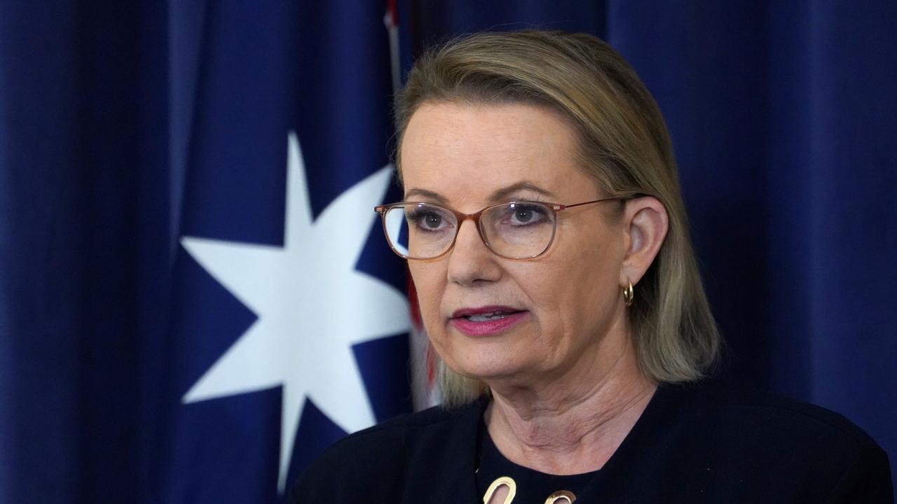 A file photo of Sussan Ley 