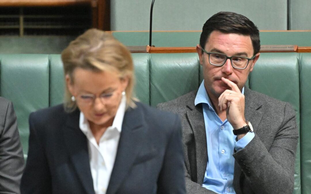 Nationals senators to ‘do time’ for hate laws split