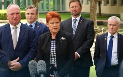 Why I joined One Nation