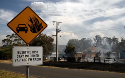 Bushfires: the government stats which shroud our peril.  