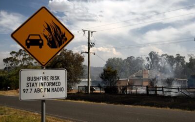 Bushfires: the government stats which shroud our peril.  