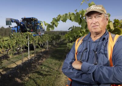 Wine and taxes: only one certainty for small producers