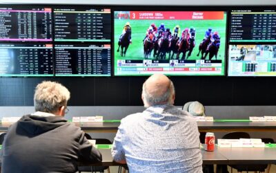 Punters take some skin off but gambling giant wagers on