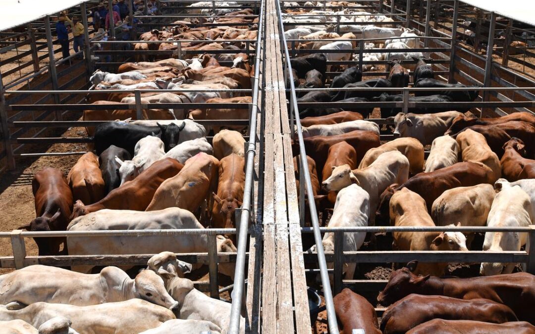 Positive signs of progress on elusive trade agreement