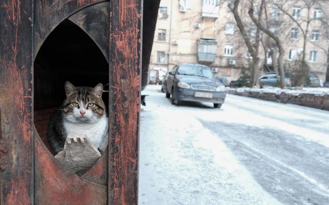 Power cuts tip war-torn Ukraine’s economy into crisis