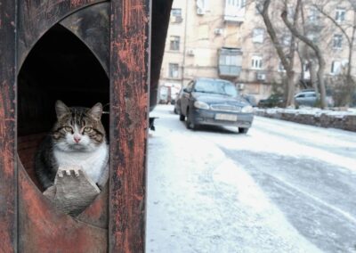 Power cuts tip war-torn Ukraine’s economy into crisis