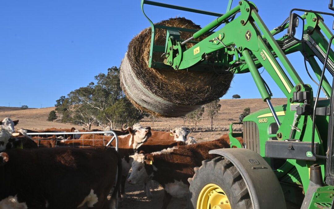 AI digs deep into future of Australian farming sector