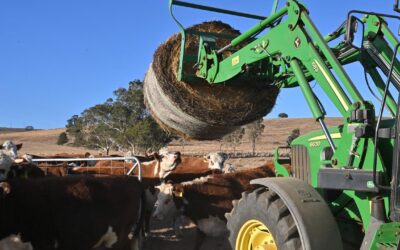 AI digs deep into future of Australian farming sector