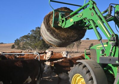 AI digs deep into future of Australian farming sector