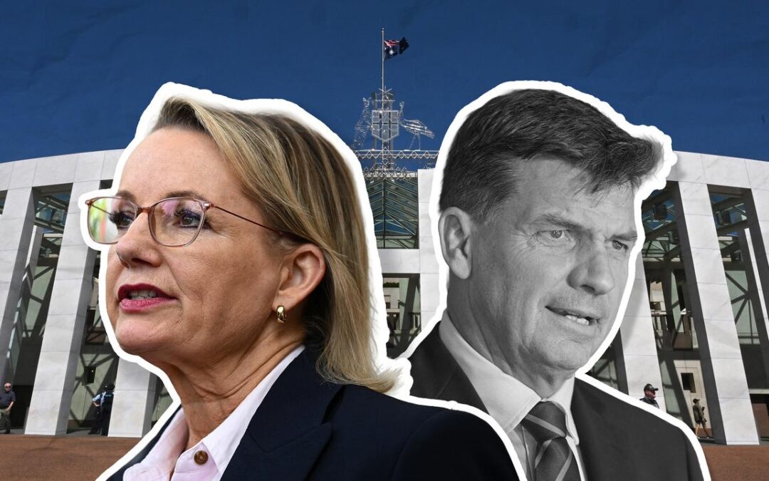 Languishing Libs warned leader swap won’t stop the rot