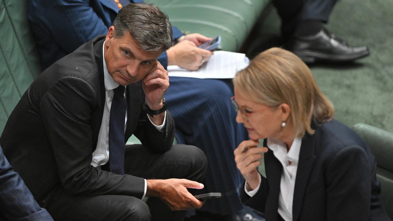 Angus Taylor and Sussan Ley