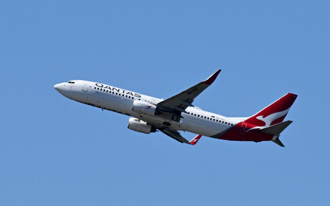 Flying high: bumper Qantas profit despite fee hikes