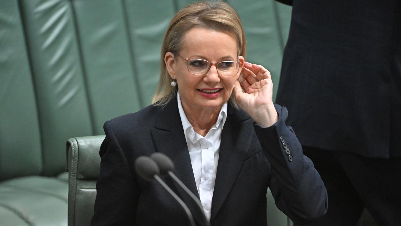 Sussan Ley (file image)