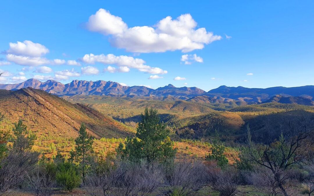 Fossil wonderland submitted for World Heritage listing