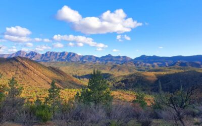 Fossil wonderland submitted for World Heritage listing
