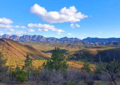 Fossil wonderland submitted for World Heritage listing
