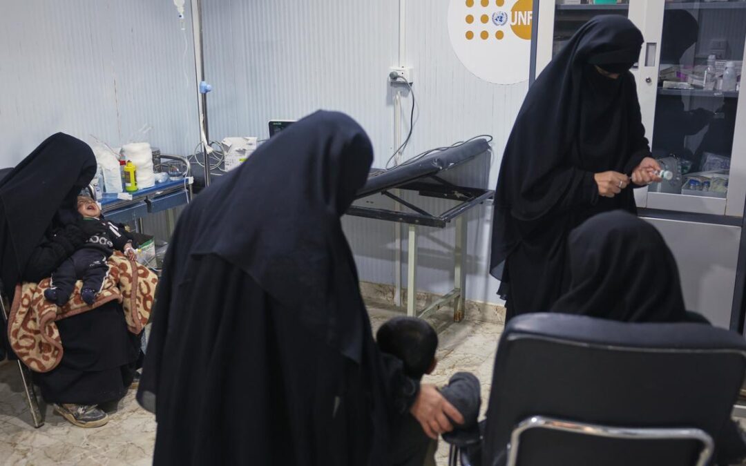 Liberals lashed over push to jail ISIS bride helpers