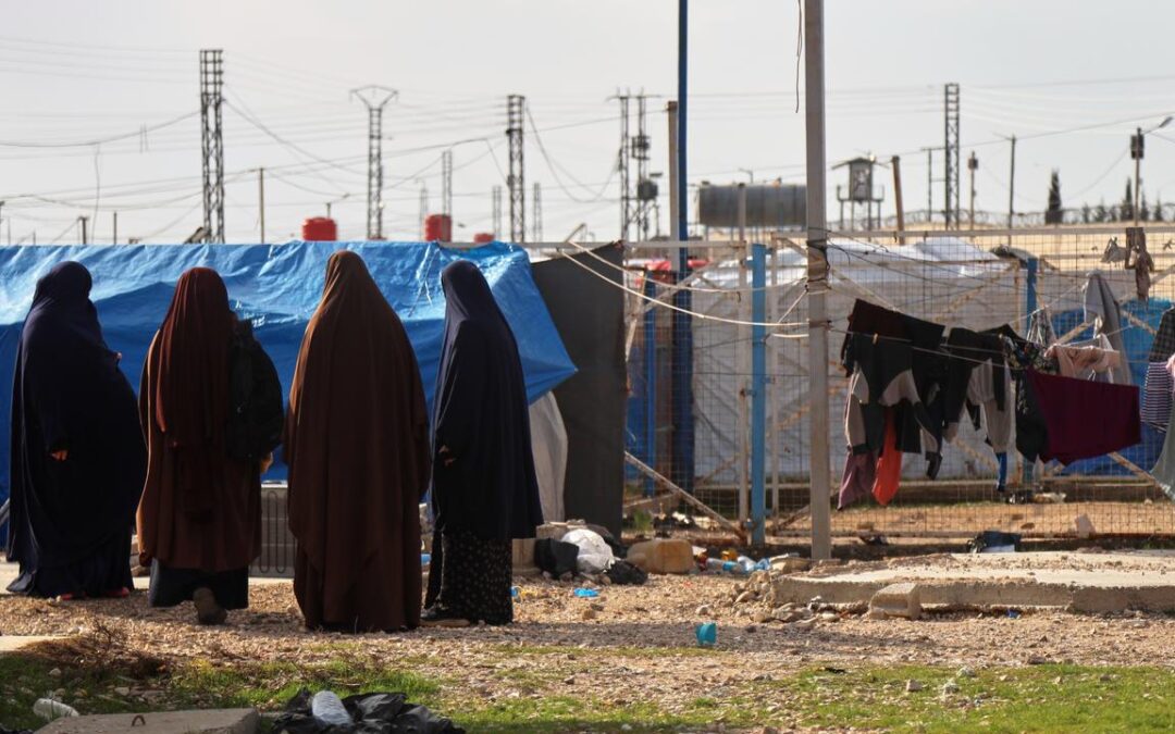 ‘ISIS brides’ issued passports, government confirms