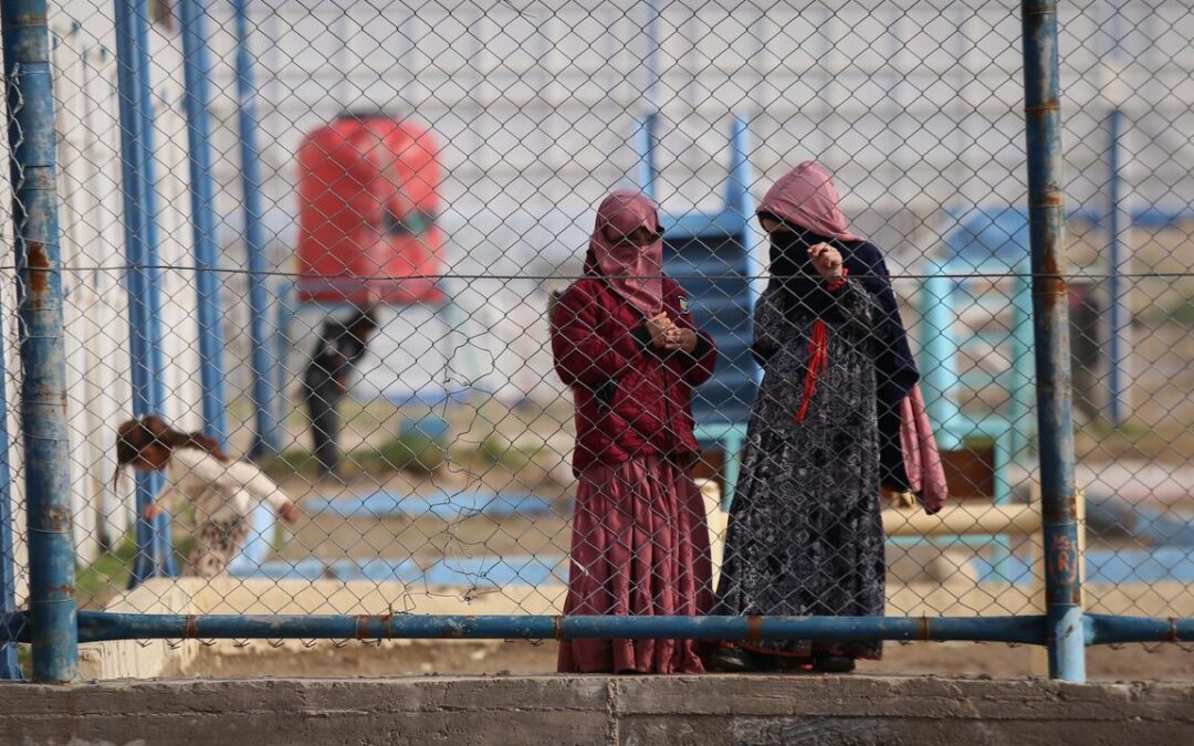 ‘Don’t want them back’: threat to returning ISIS brides