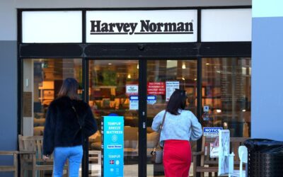 Harvey Norman shares tumble despite big profit growth