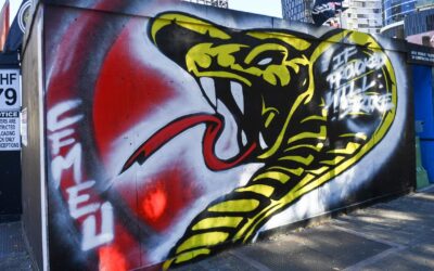 Claims MPs ‘turned blind eye to CFMEU’ referred to cops