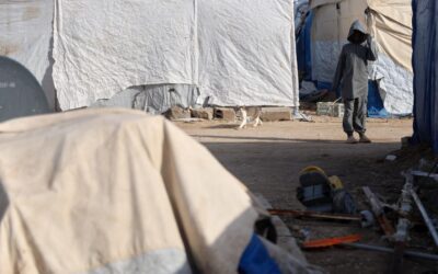 Push to punish those who help ‘IS brides’ dismissed