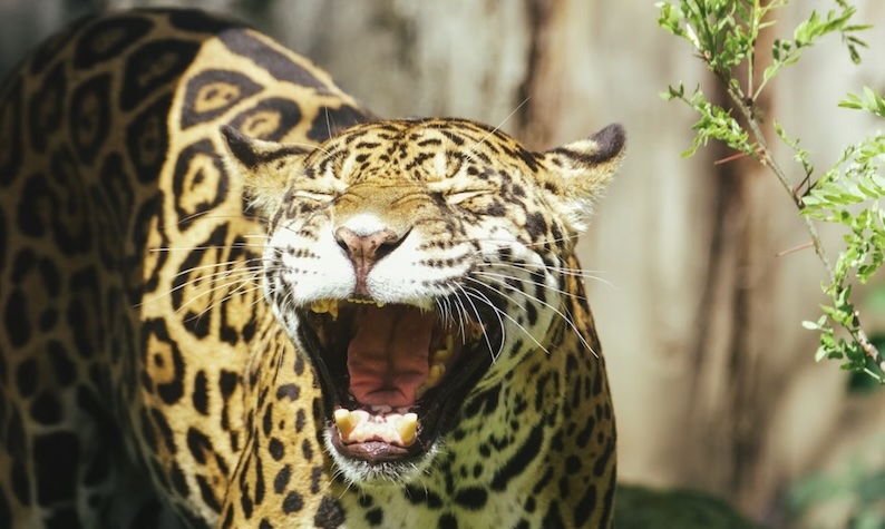 Jakub Nescora, Unsplash