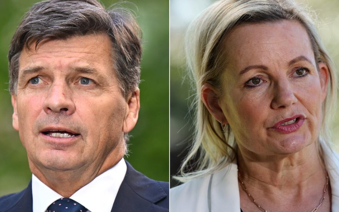 Top Liberal’s backers talk down imminent leader threat