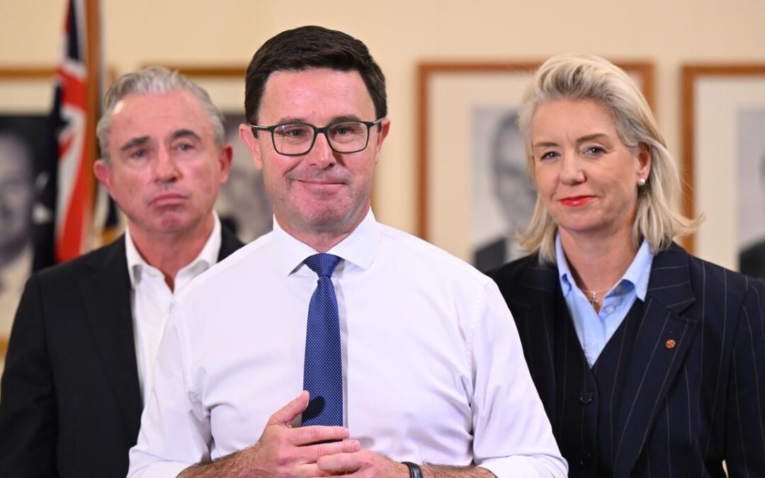 Nationals to hold vote after leader’s shock resignation