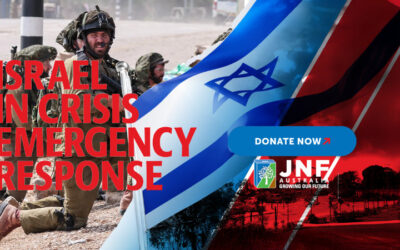 Millions in tax-deductible donations to IDF, illegal settlements