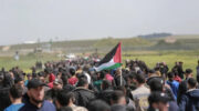 Palestine Land Day