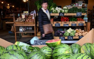 Food price shock warning as fuel fears spark farm alarm