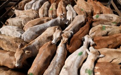 Agriculture hits $100b, but what goes up must come down