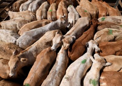 Agriculture hits $100b, but what goes up must come down