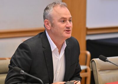 ‘Gerrymander’: teal backer takes aim at donations cap