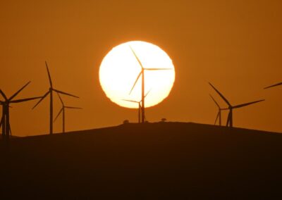 No ill winds blowing for renewables spending in budget