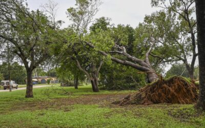Rain-hit region braces as tropical storm sweeps past