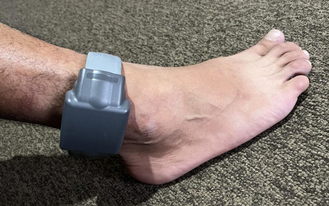 Murderer wins High Court case against government