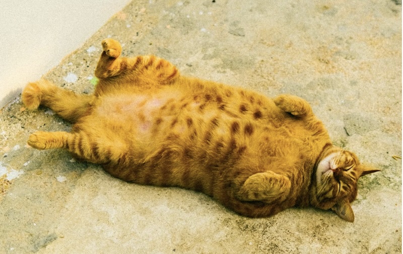 Image: Andre Blanco, Unsplash