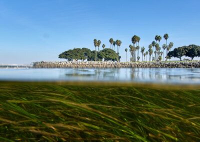 Turkey says COP31 will push for more global action