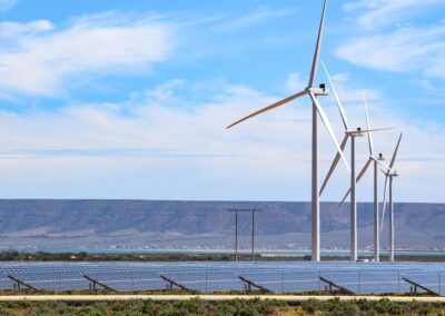 Budget tightrope to cut oil dependence, ease inflation