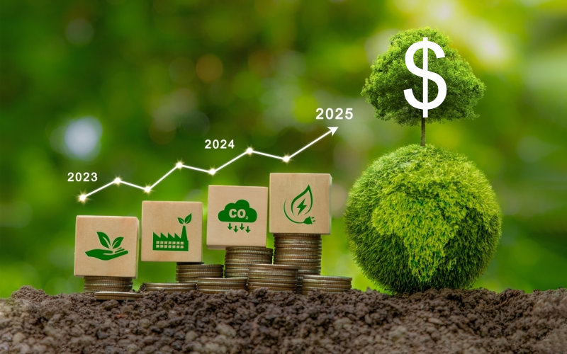 Carbon Credits dollars