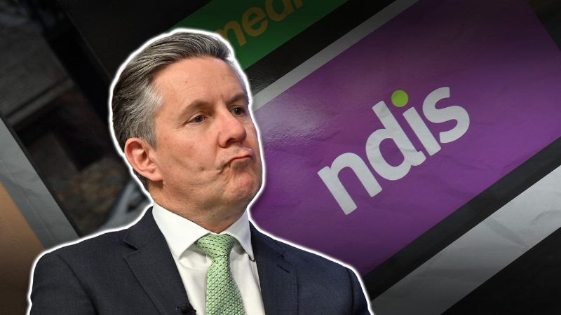 NDIS reform Mark Butler